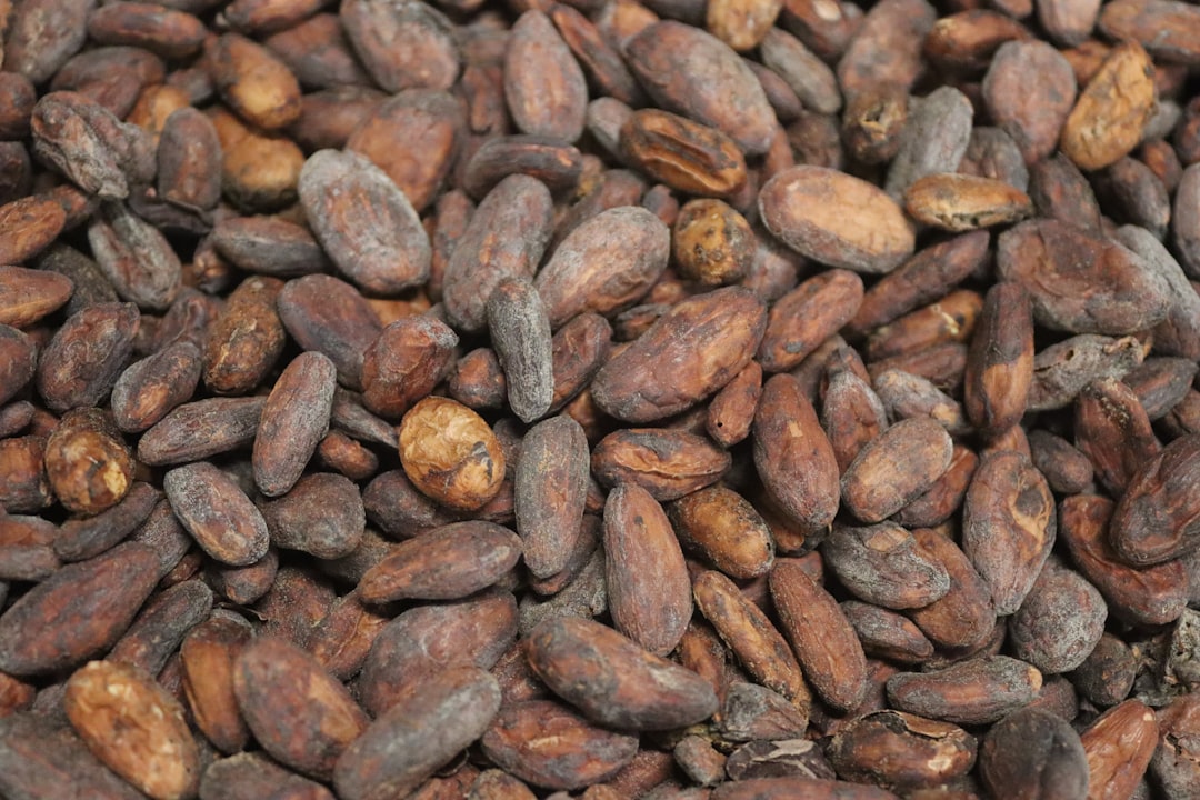 Cocoa