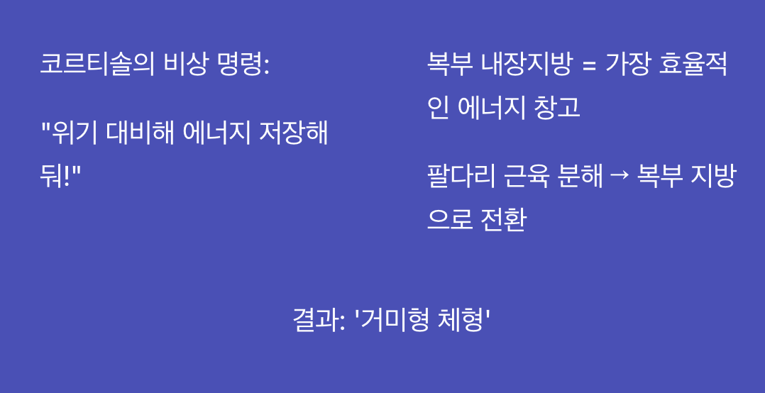 왜 하필 '뱃살'로만 갈까?