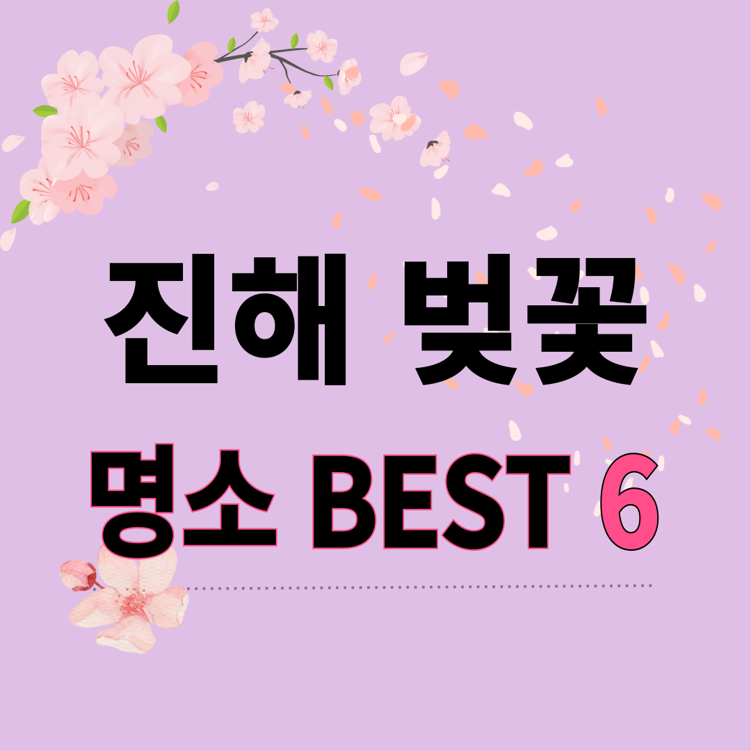 진해군항제 벚꽃 인생샷 명소 6곳