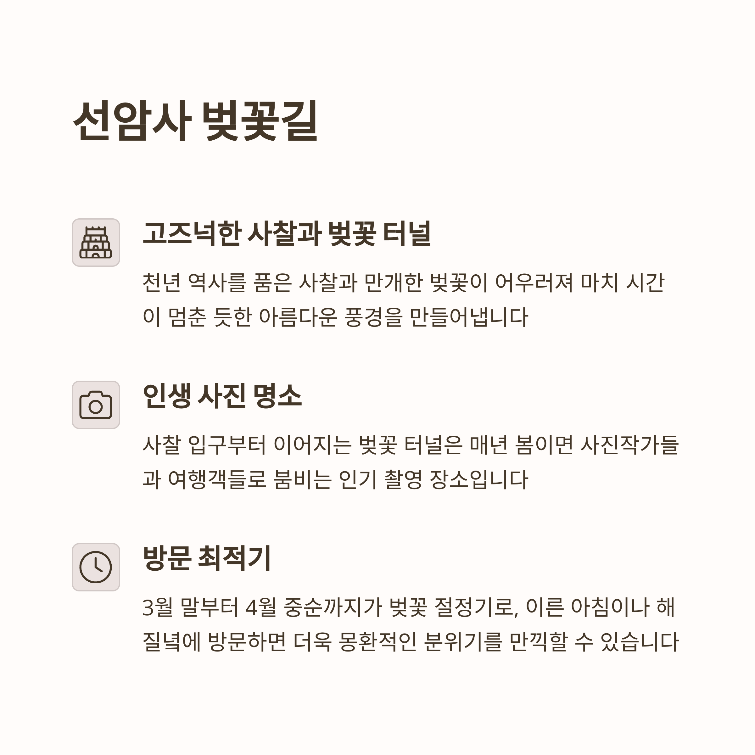 순천만습지 봄 뷰 포인트3곳