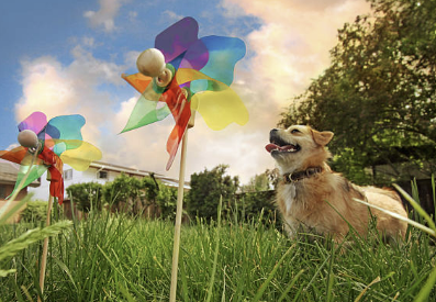 초복 인사 문자 알아보기, 무료 다운로드, 초복 의미와 유래