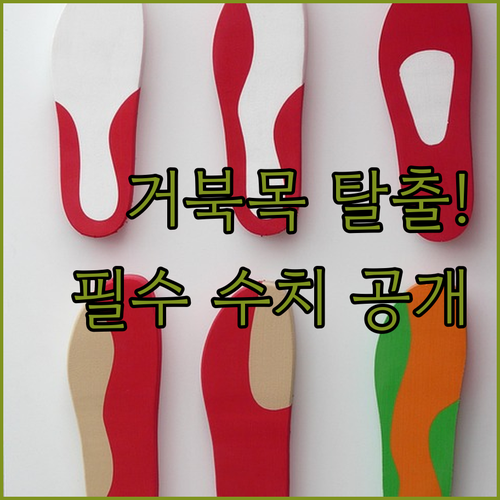 시디즈 의자 커버 일룸 모니터암 활용..