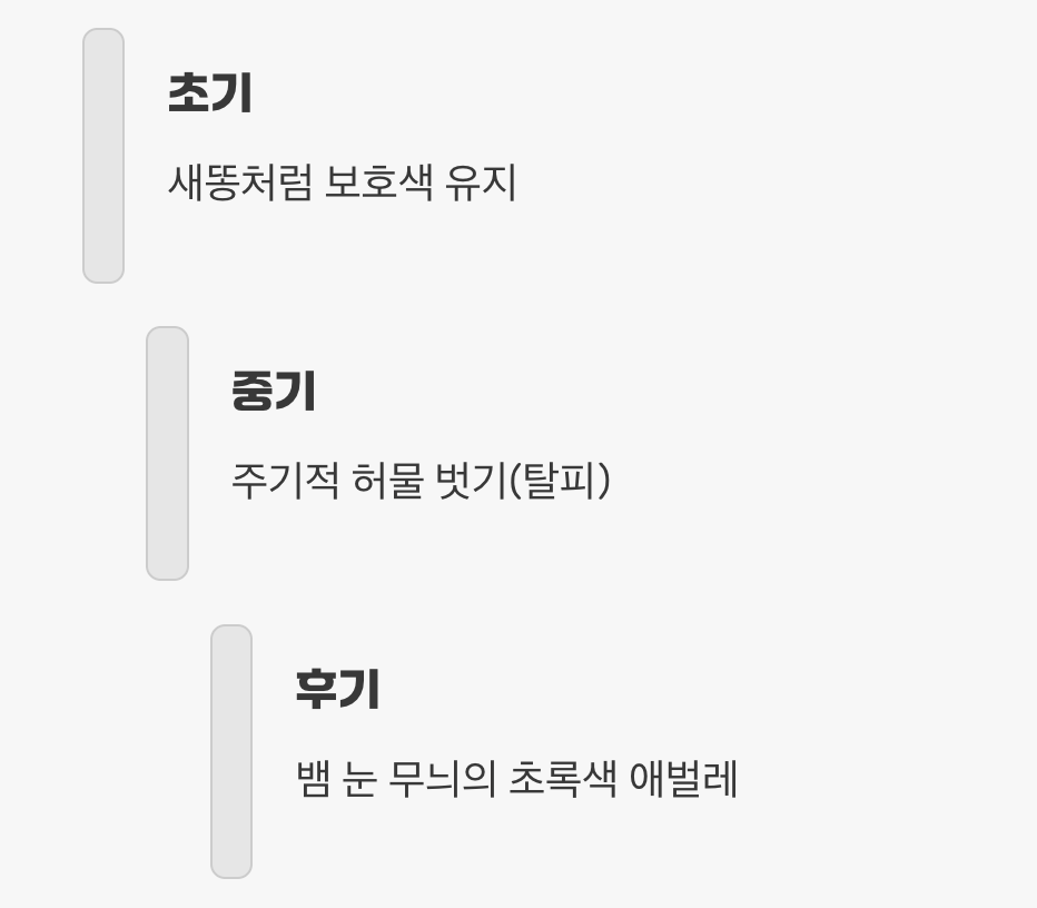 3. 허물 벗는 경이로운 성장 과정