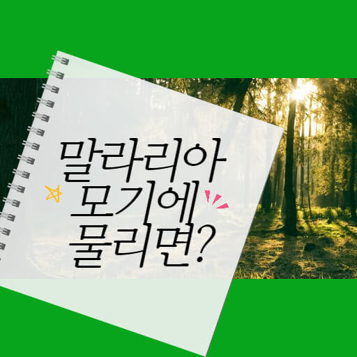 말라리아 모기 생김새