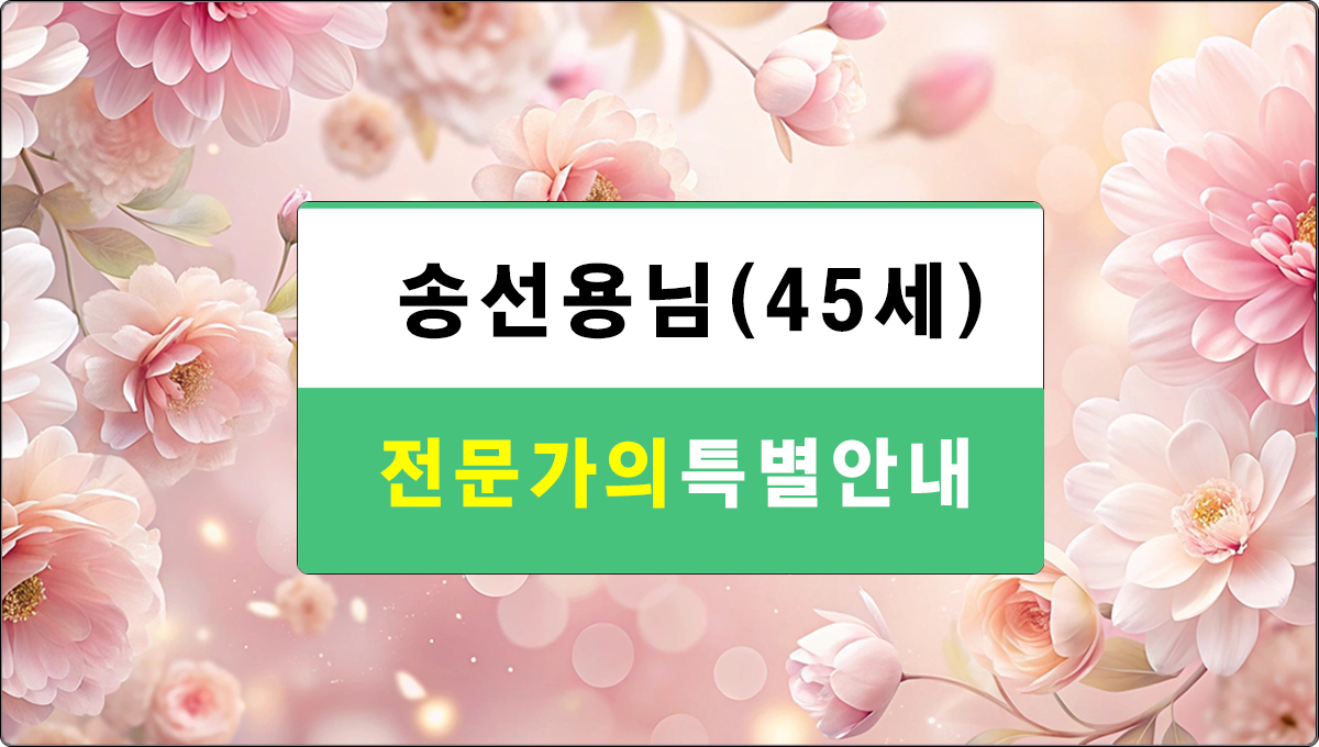 송선용님특별안내