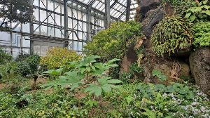 화성_우리꽃식물원_국화전시회