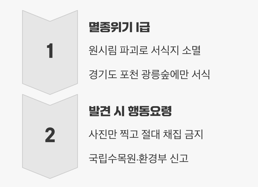 천연기념물, 절대 잡지 마세요