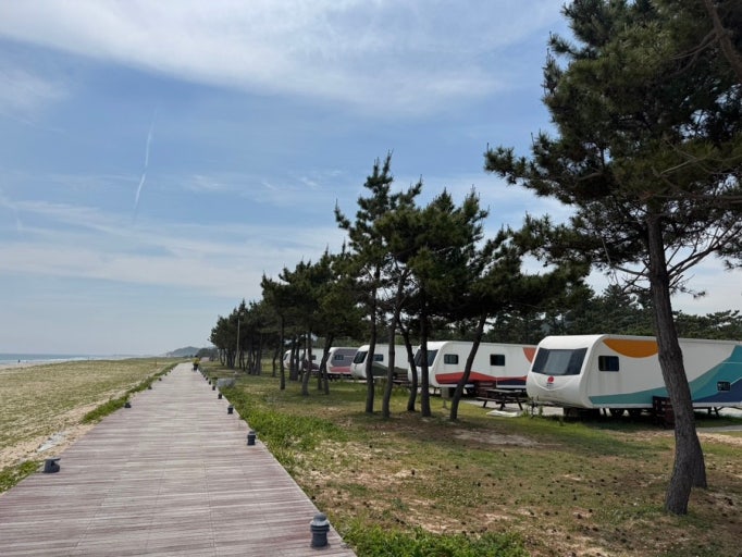 동해 망상오토캠핑리조트