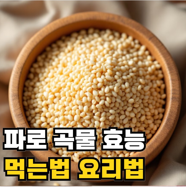 파로 곡물 효능 먹는법 요리