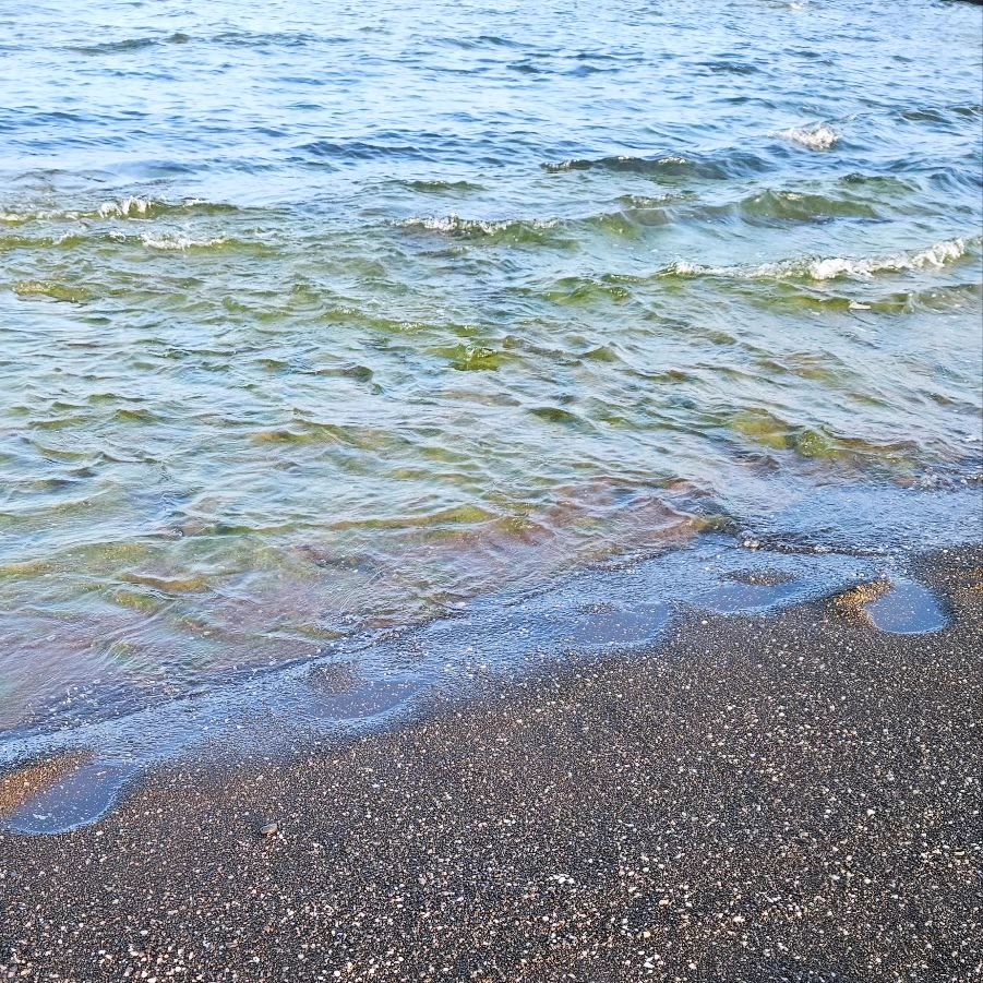 성산일출봉이 보이는 제주바다 건강해 안전해