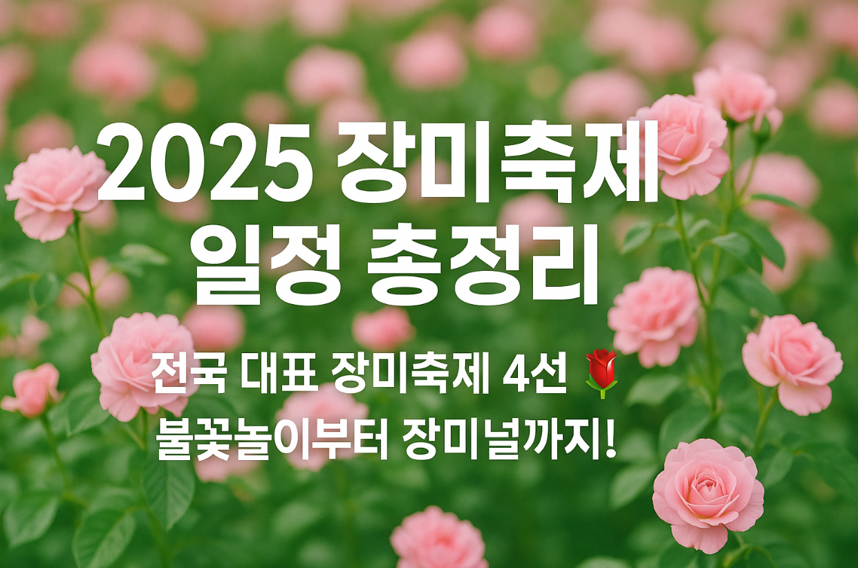 2025 전국 장미축제 일정 완벽 정리! 서울 중랑천, 곡성, 울산대공원 등 인기 장미축제의 일정, 입장료, 교통편, 불꽃놀이 정보까지 한눈에 확인하세요.