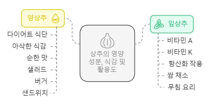 상추와 양상추