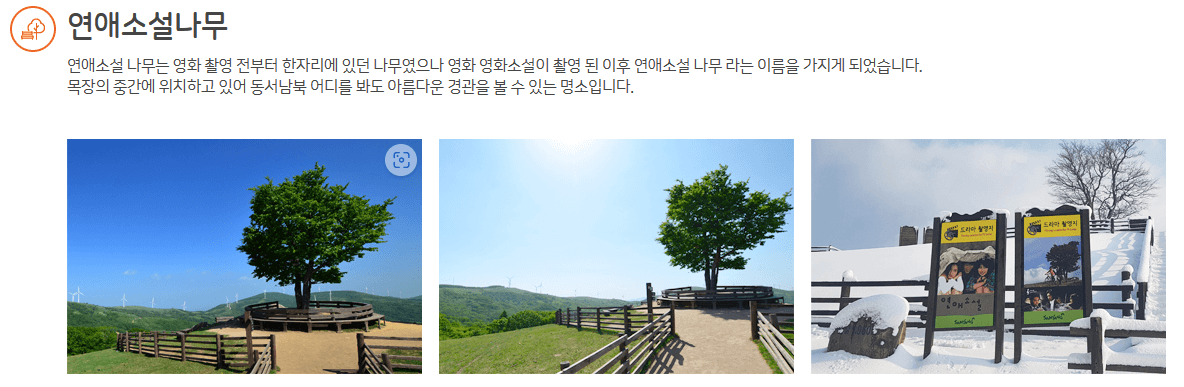 대관령 삼양목장