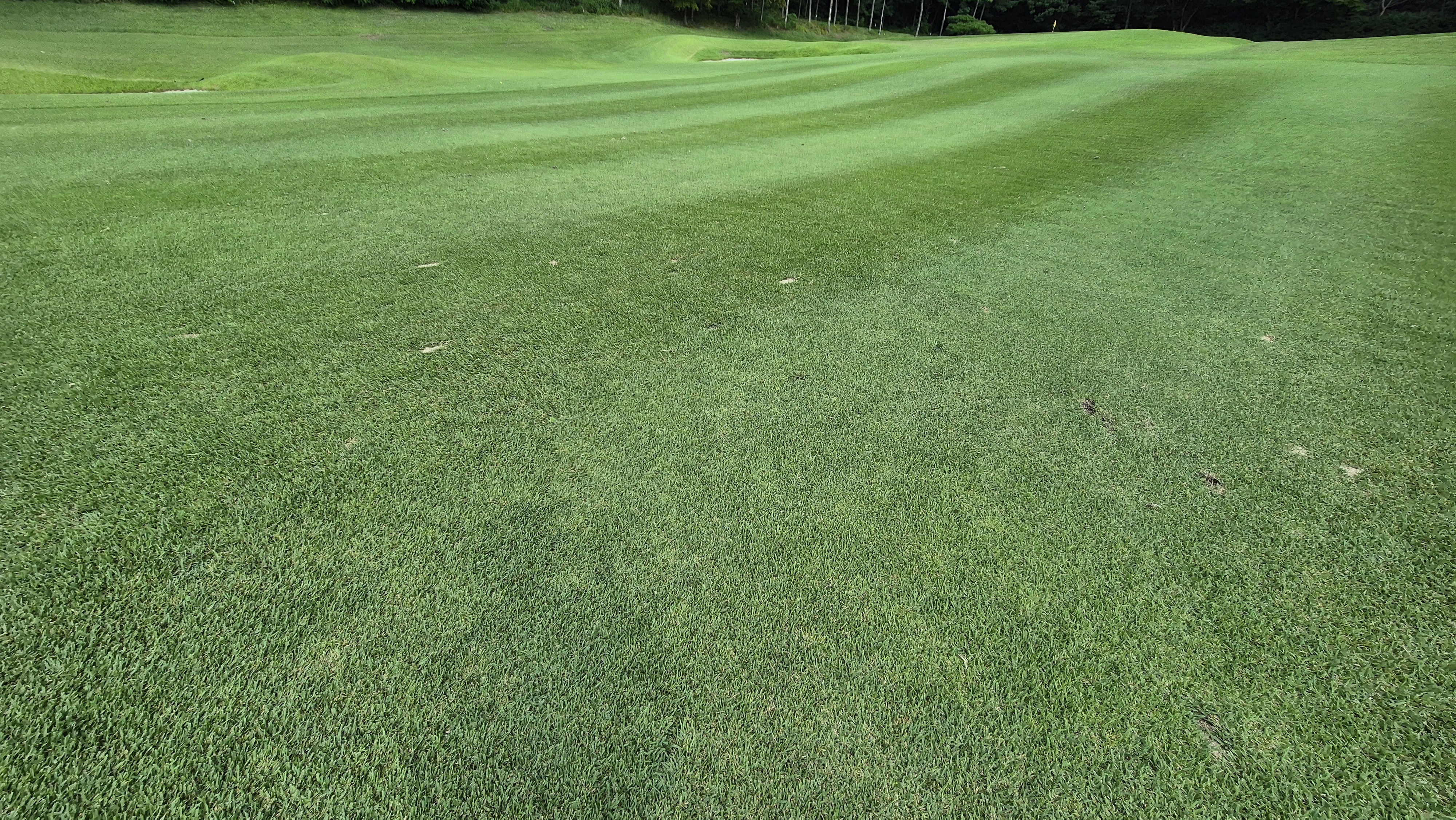 한성cc 오렌지-그린 코스 라운드 후기