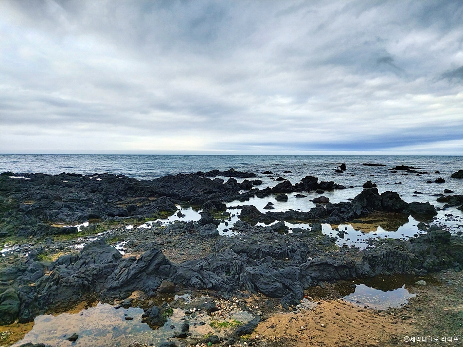 제주도외도바다풍경