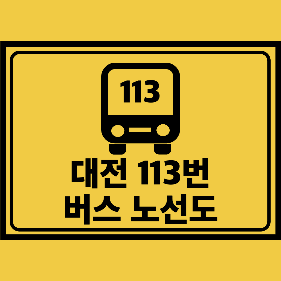 대전113번버스노선도