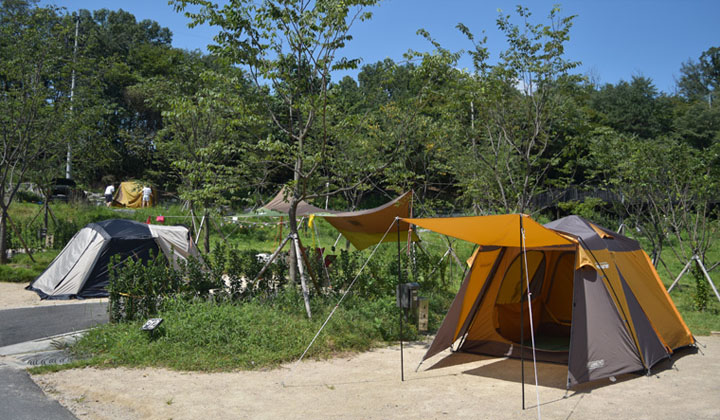 초안산캠핑장-파크캠핑존