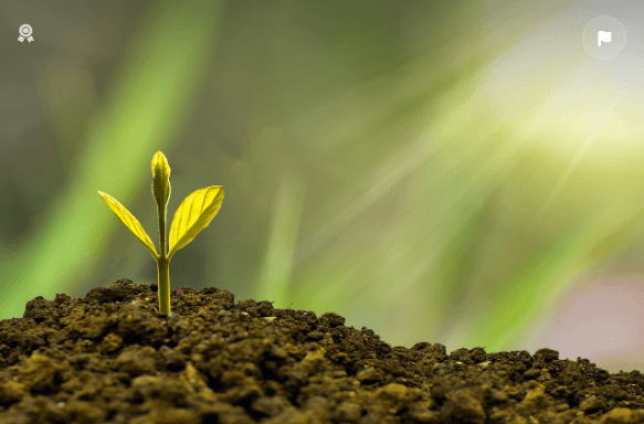 건강보험 환급금 조회