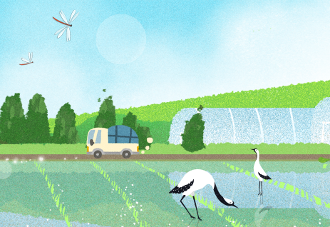 6월 여행가는달 국내 여행 할인 정보 쿠폰 다운로드와 관련된 내용 중 하나인 농촌여행하며 볼 수 있는 풍경 그림