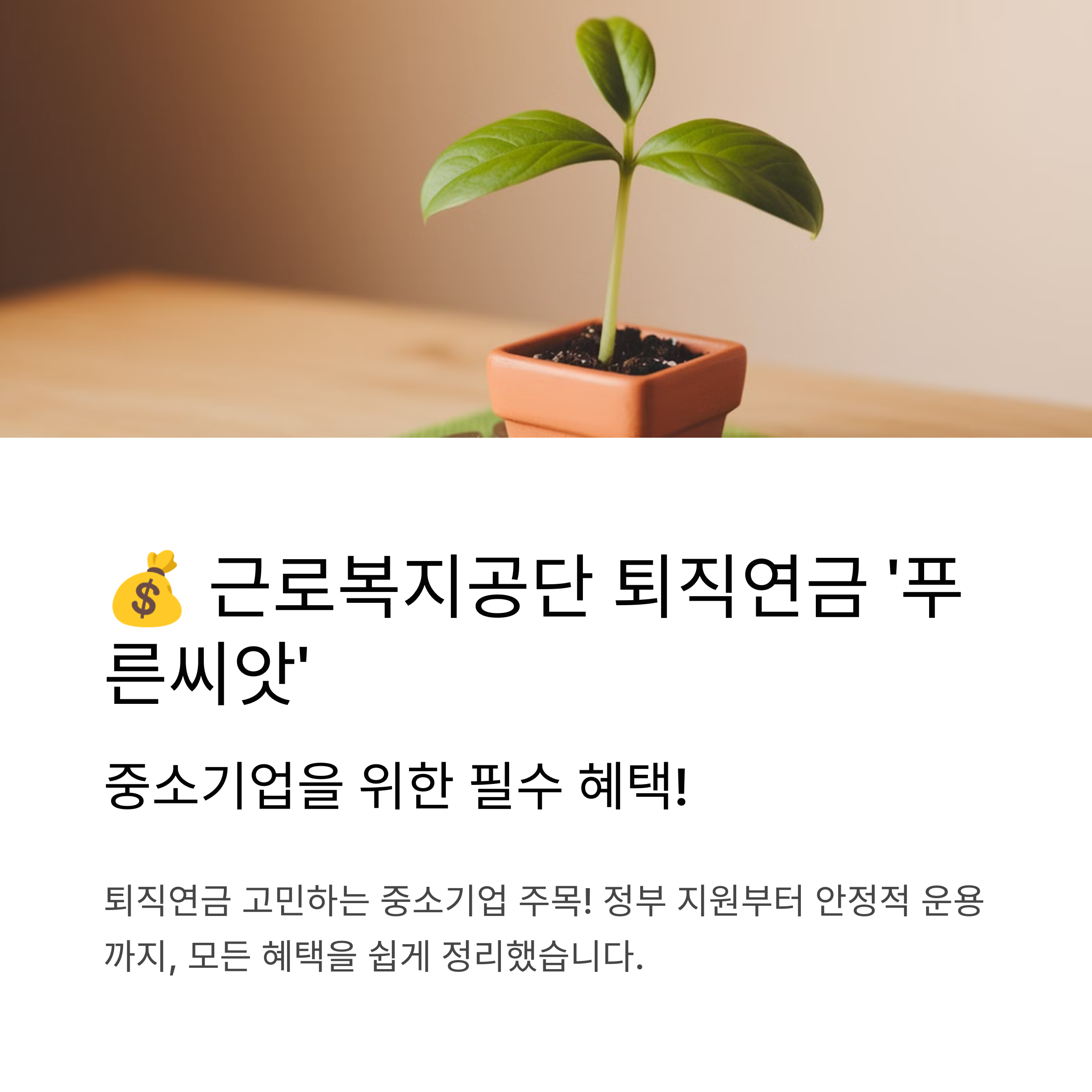 근로복지공단 퇴직연금! 중소기업 필수 혜택 '푸른씨앗'