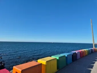 제주공항근처가볼만한곳 제주공항 근처 가볼만한곳 가족과 가기 좋은 리스트 완벽 가이드_23