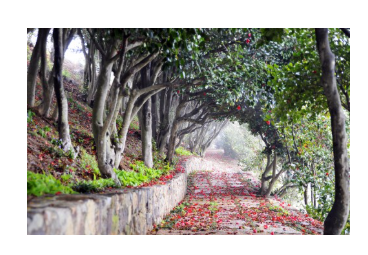 통영 유람선터미널 시간표 확인 사이트