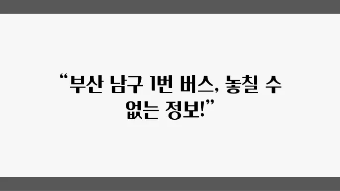 부산 남구 1번 마을버스 이용 팁