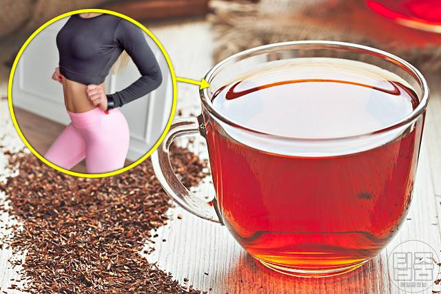 다이어트에 좋은 차 루이보스차 살빼는차 다이어트차 추천