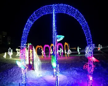 평창송어축제_24