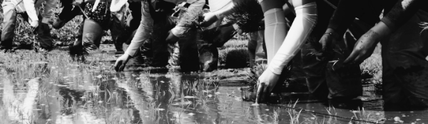 농업연금 특징: ⑤ 재산세 감면