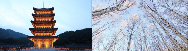 김천시