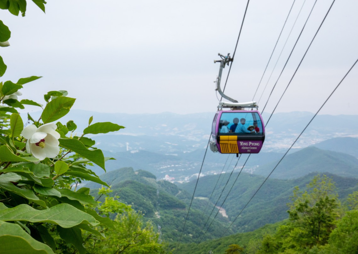 평창 가볼만한 곳 발왕산 케이블카 스카이워크