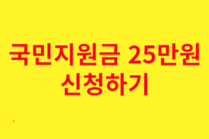 국민지원금