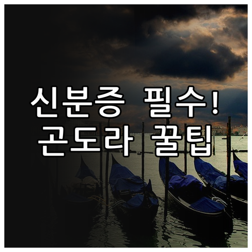 파주 임진각 평화곤도라 민통선 출입 ..