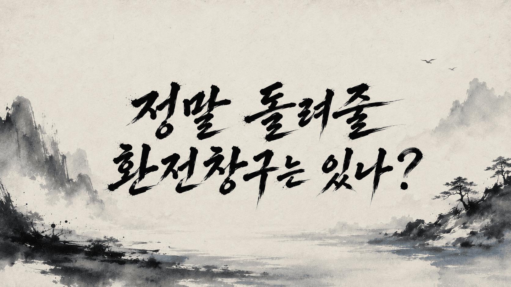 ANTHROPIC PBC(클로드의 결제창구)가 정말 환전 창구는 만들어 놧을가? 하는 의문을 남기는 이미지입니다.