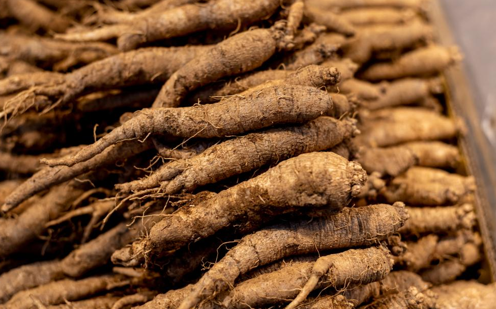 3월 제철음식 완결편 (수산물&#44;해산물&#44;채소&#44;과일)