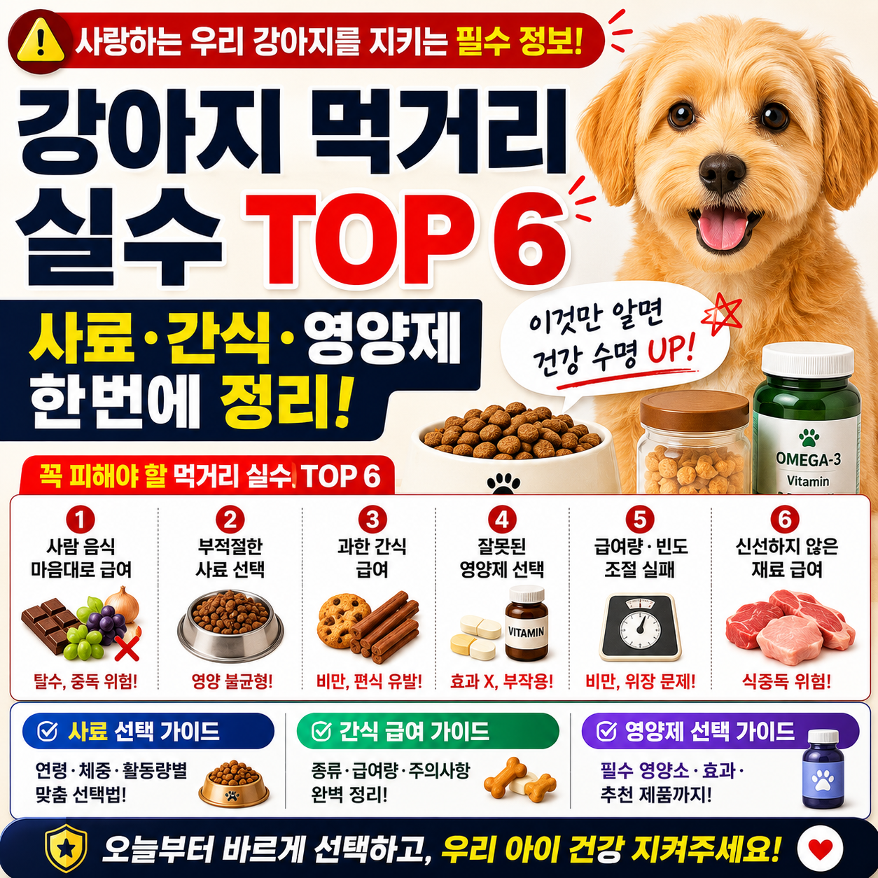 강아지 먹거리 실수 TOP 6, 사료·간식·영양제 한번에 정리