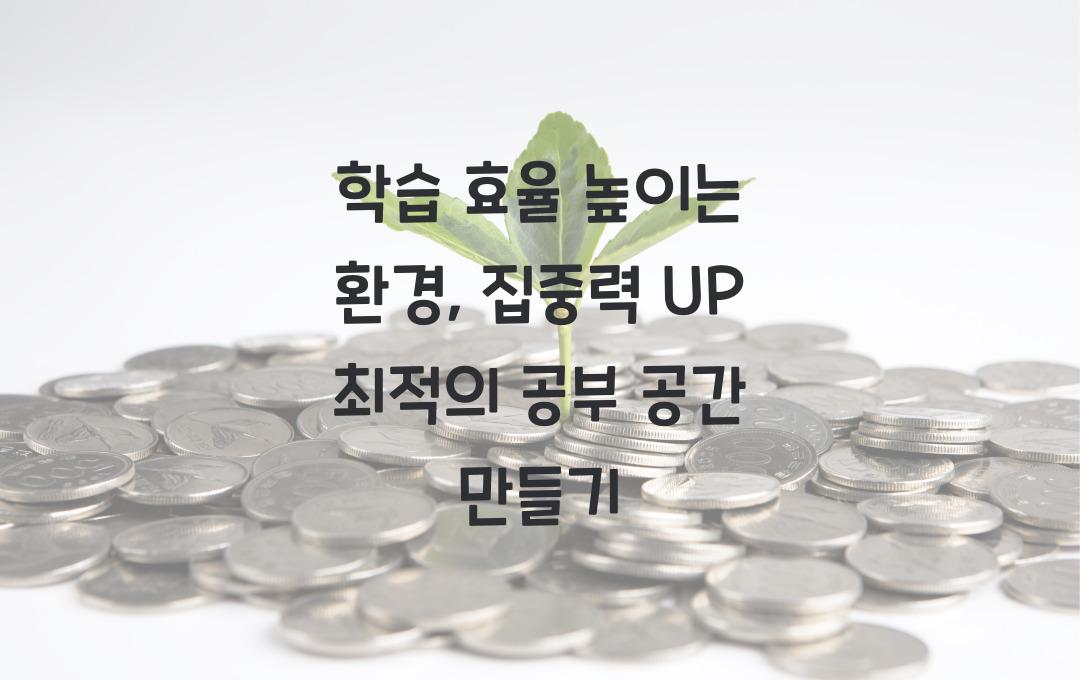 학습 효율 높이는 환경: 집중력을 높여주는 공부 공간 만들기