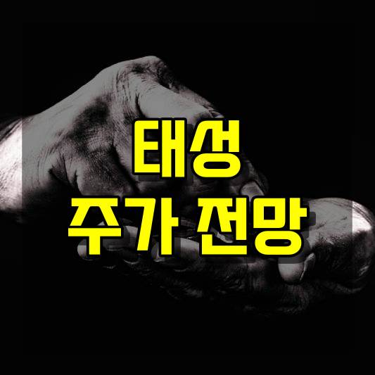 태성 주가 전망