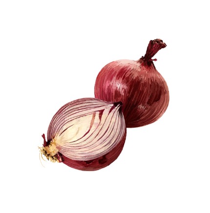 양파