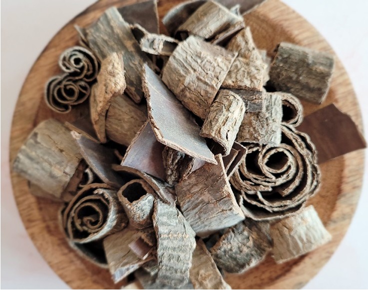 갈색 나무 접시에 한가득 담긴, 잘 씻어져 나온 한약재 두충 사진