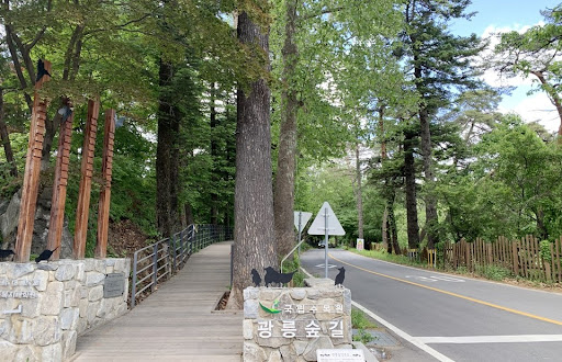 광릉숲길 주요 코스