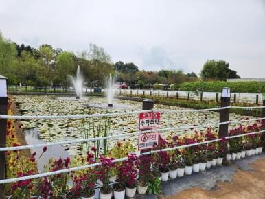 나리공원 분수대