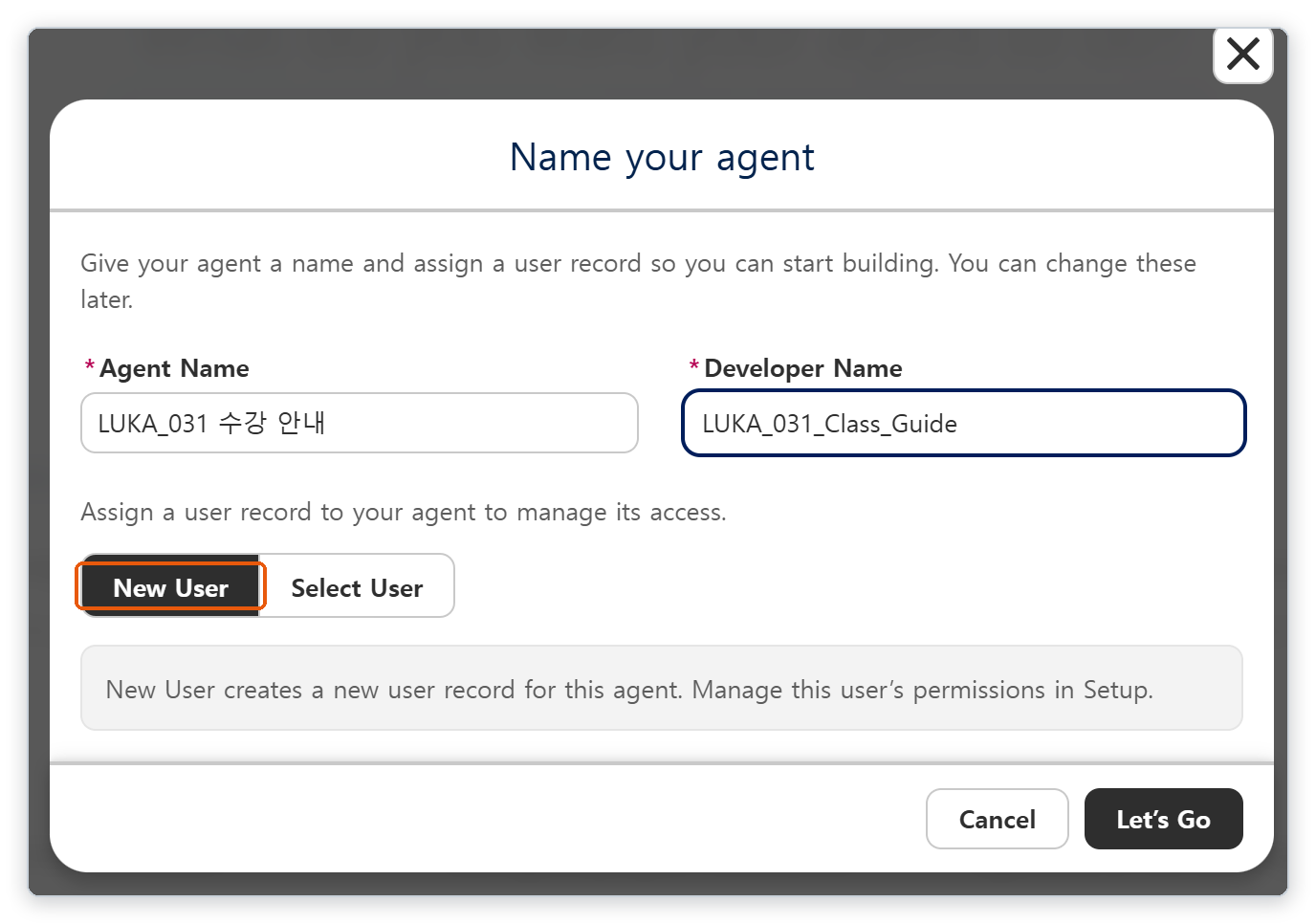 Name your agent 창에 Agent Name과 Developer Name이 입력되어 있고 New User 단추가 강조되어 있다