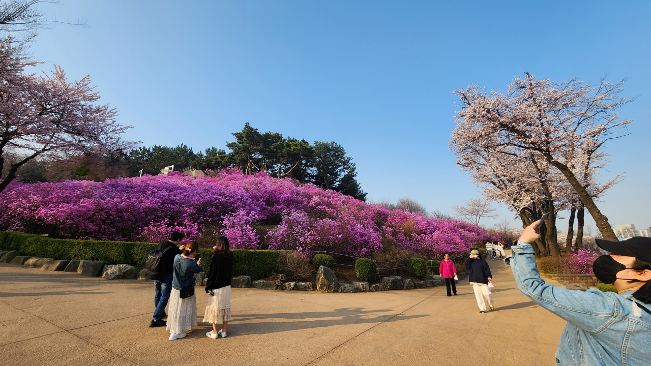 진단래와-추억만들기-사진찍기