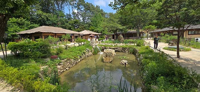 목향원 마당의 숲속 정원과 연못 풍경