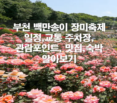 부천 백만송이 장미축제 일정,교통 주차장, 관람포인트(포토존), 맛집,숙박
