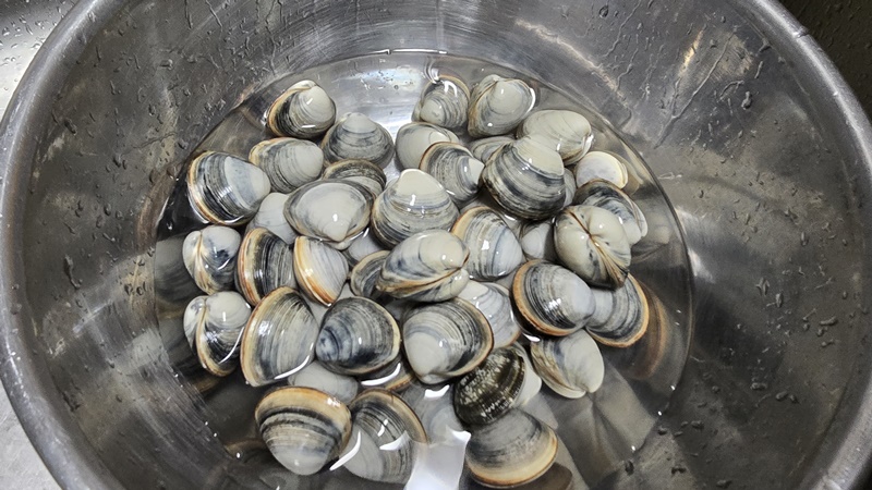 조개 해감 모습