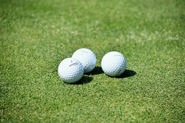 현대의 골프공