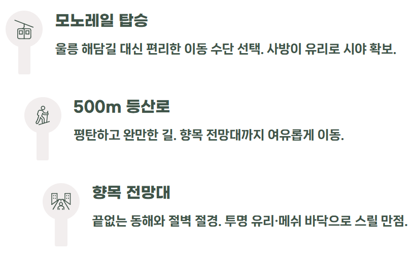 울릉도 독도 2박3일 크루즈 여행